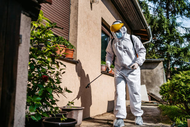 Best Wasp Removal Services  in Walden, TN