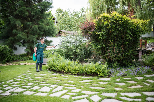Best Pest Control for Businesses  in Walden, TN