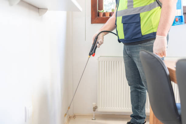 Best Termite Control Services  in Walden, TN