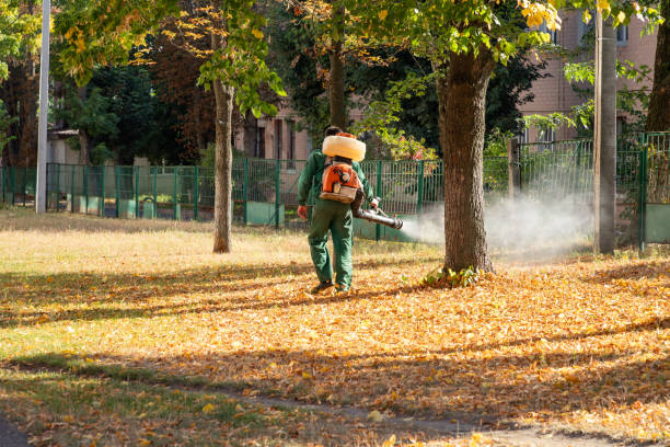 Best Mosquito Control Services  in Walden, TN