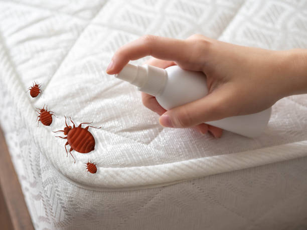 Best Emergency Pest Control  in Walden, TN